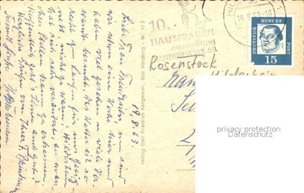 Hildesheim 1000jähriger Rosenstock an der Kirche – Bild 2