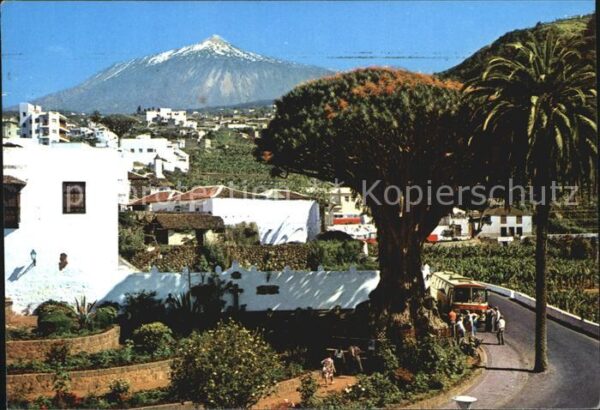 Icod de los Vinos Drago milenario y Teide