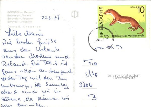 Borovetz Pessako – Bild 2