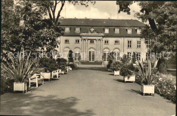 Mosigkau Schloss Museum