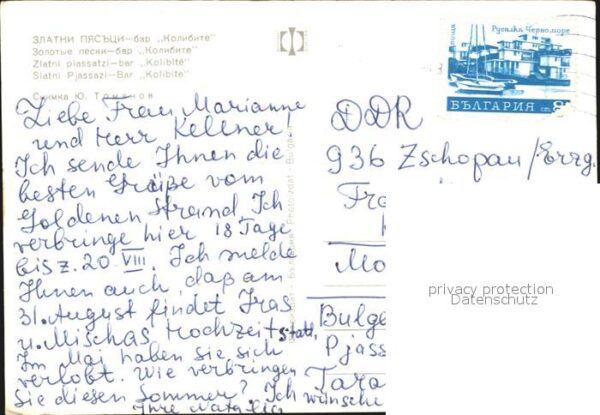 Slatni Pjasazi Bar Kolibite – Bild 2