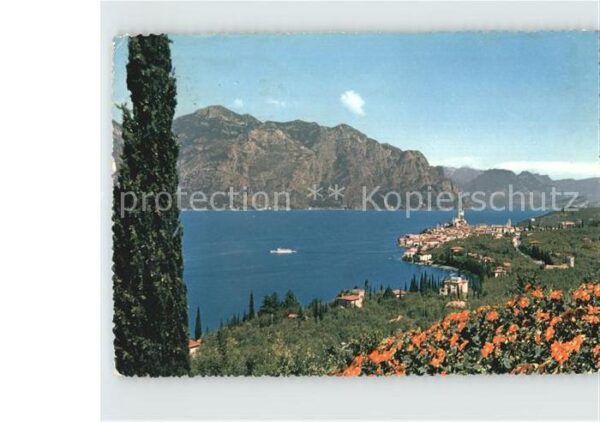 Garda Lago di Garda Malcesine