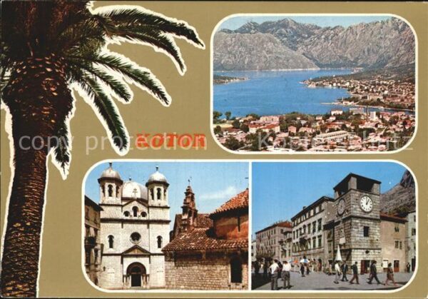 Kotor Montenegro Panorama Palme Kirche Strassenpartie