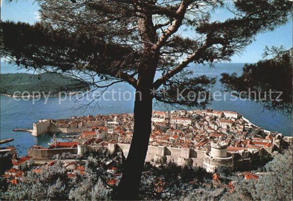 Dubrovnik Ragusa Altstadt Hafen Festung Stadtmauer