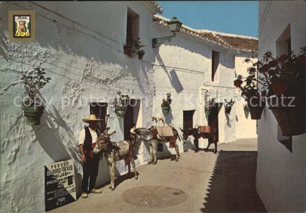 Mijas Parada de Burros Taxis Esel Lasttiere
