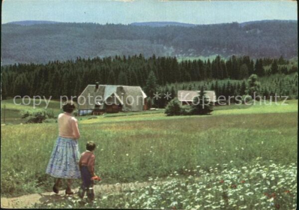 Falkau Wanderweg Schwarzwaldhaus Blumenwiese H