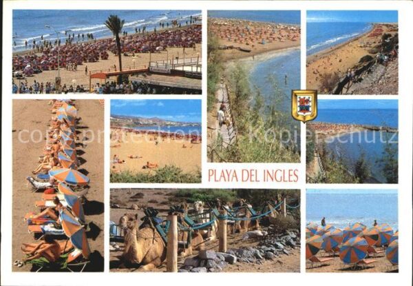 Playa del Ingles Strand Kamele