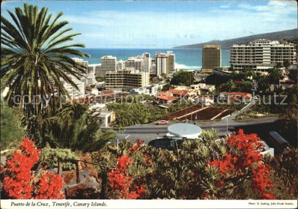 Puerto de la Cruz Panorama Hotels an der Küste Palmen