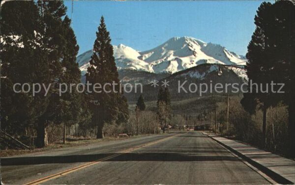 Shasta Street Scene