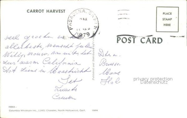 Pasadena California Karotten Ernte – Bild 2