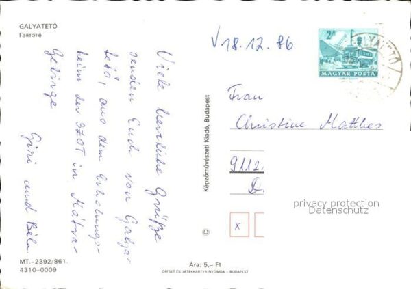 Galyatetoe Rehkitz – Bild 2