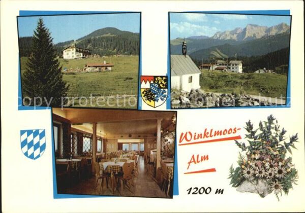 Reit Winkl Alpengasthof Winklmoosalm Gaststube Kap