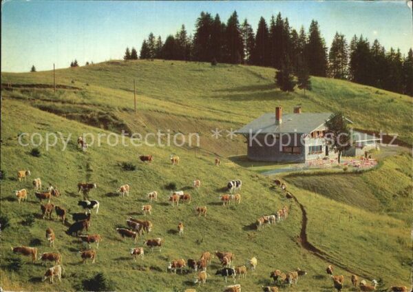 Bernau Schwarzwald Almhütte zum Krunkelbach Viehweide
