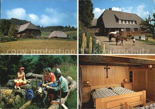 Hinterzarten Island Pferdehof Islandponys Brotzeit G