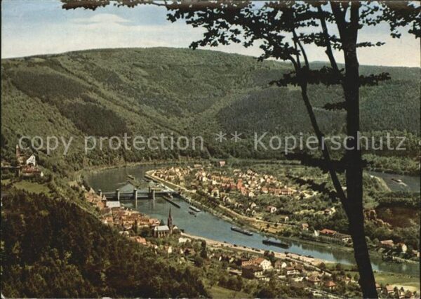 Hirschhorn Neckar Neckarpartie