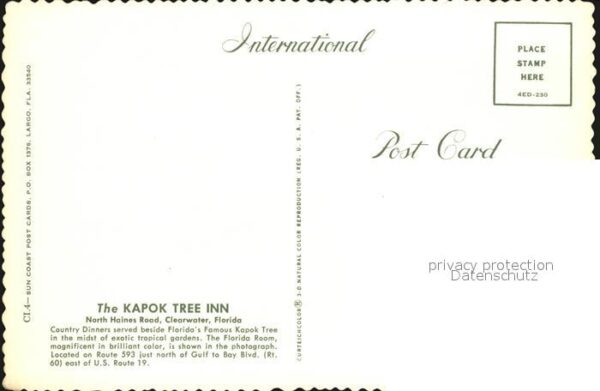 Clearwater Florida The Exotic Kapok Tree Inn – Bild 2