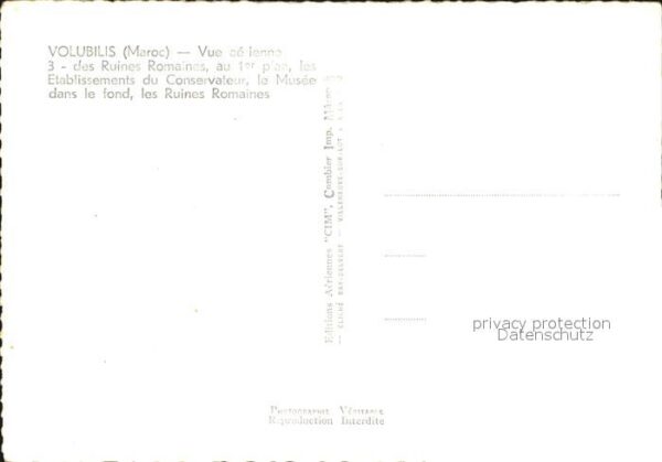 Volubilis Fliegeraufnahme – Bild 2