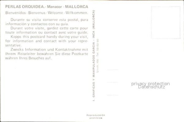 Manacor Perlas Orquida – Bild 2