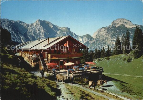 Pertisau Achensee Bärenbadalpe gegen Ochsenkar Hahnenkamm