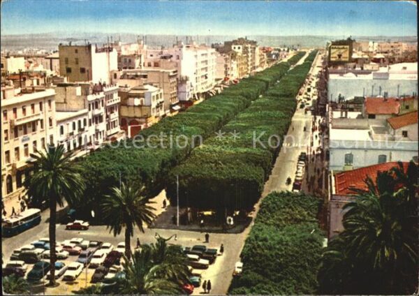 Tunis Allee