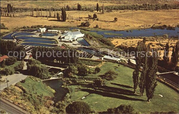 Buhl Idaho Snake River Trout Ranch aerial view