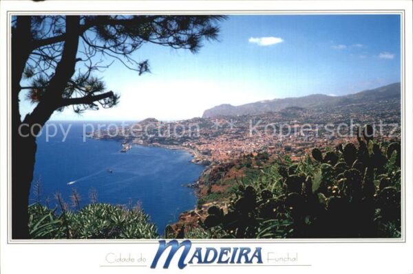 Funchal Panorama Küste