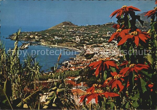 Funchal Panorama Küste Blumen