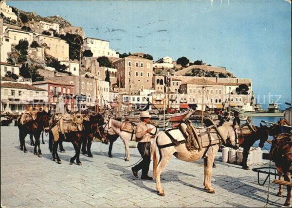 Hydra Greece Partie am Hafen Esel Lasttiere
