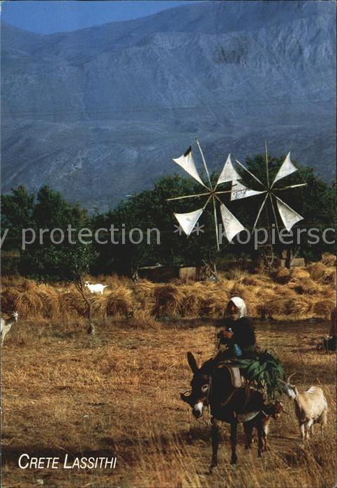 Lassithi Windmühle Bauer Esel Lasttier Ziege