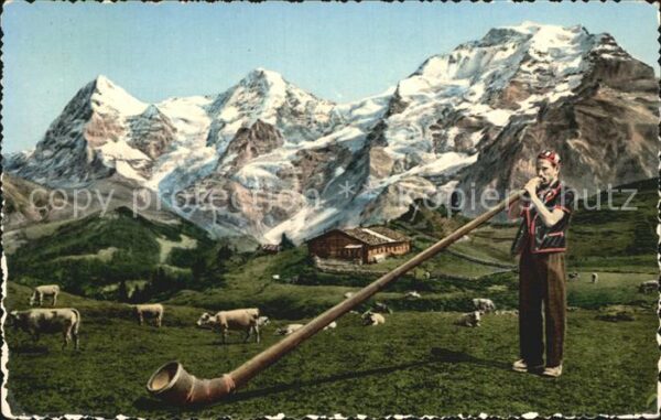 Alphorn Alphornbläser
