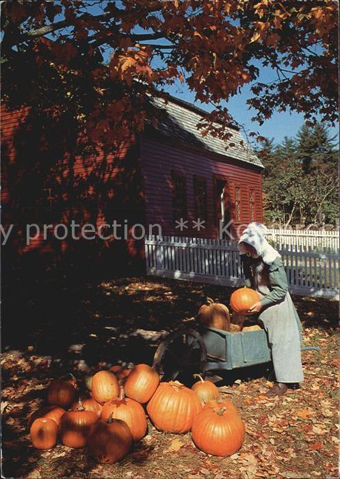 Landwirtschaft Pumpkins Freeman Farm Old Sturbridge Vi
