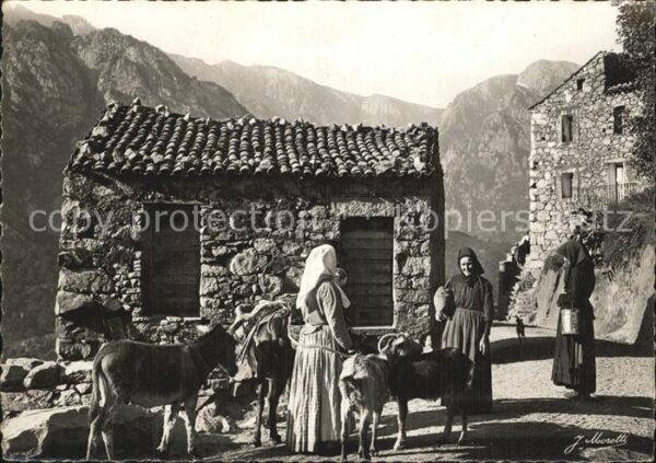 Ziege Types Corses