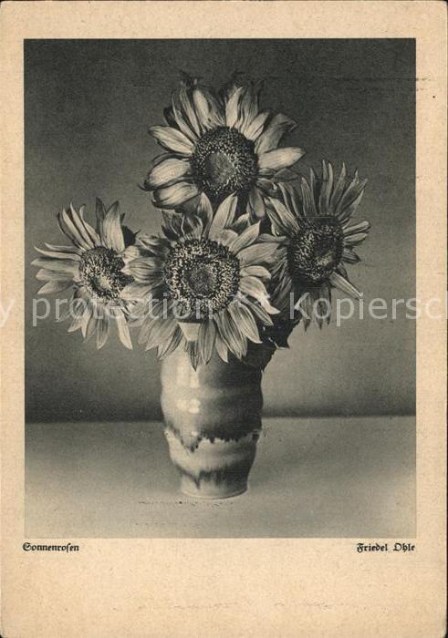 Kuenstlerkarte Friedel Ohle Sonnenrosen