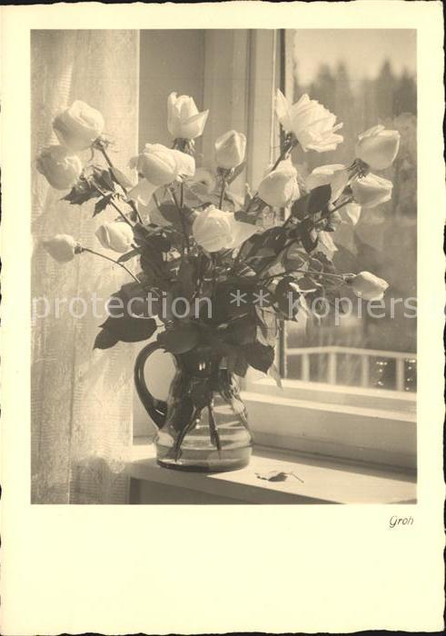 Rosen Rosenstrauss Foto Groh Nr. 2999