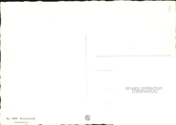 Rosen Rosenstrauss Foto Groh Nr. 2999 – Bild 2