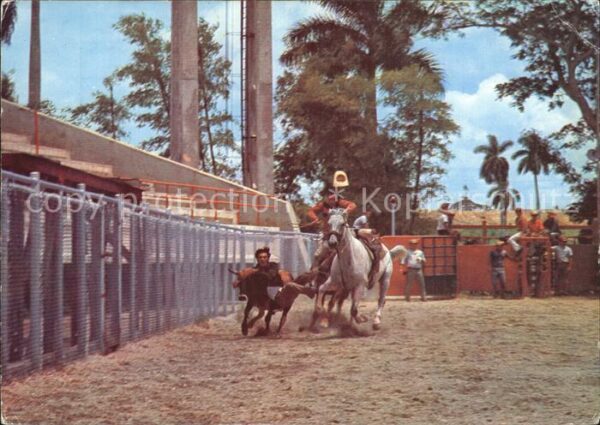 Pferdesport Pferderennen Reitsport Rodeo Lenin Park Havana