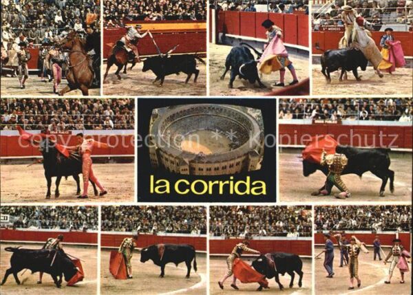 Stierkampf Corrida