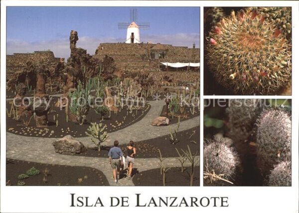 Kakteen Jardin de Cactus Isla de Lanzarote