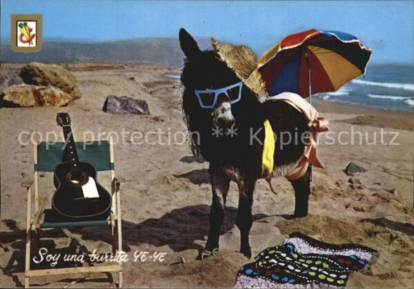 Esel Tiere Humor Strand Gitarre Liegestuhl Sonnesc
