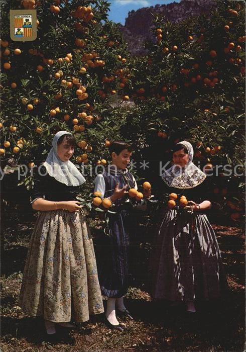 Orangen Oranges Mallorca Orangenbäume Trachten