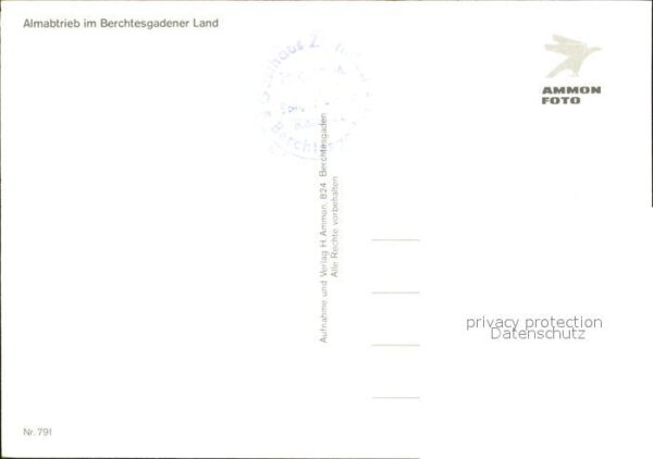 Kuehe Almabtrieb Berchtesgadener Land – Bild 2