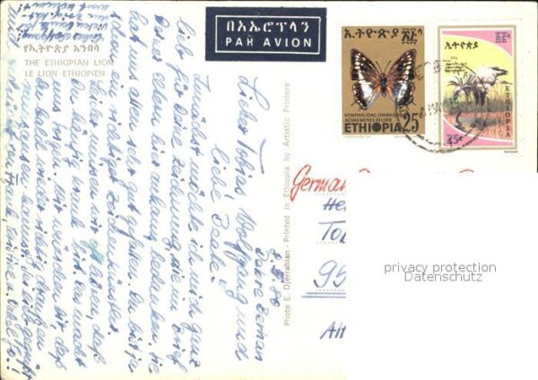 Loewe Äthiopien – Bild 2