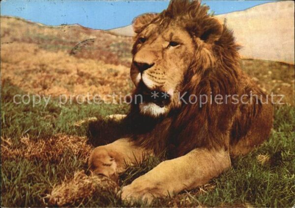 Loewe Ethiopia