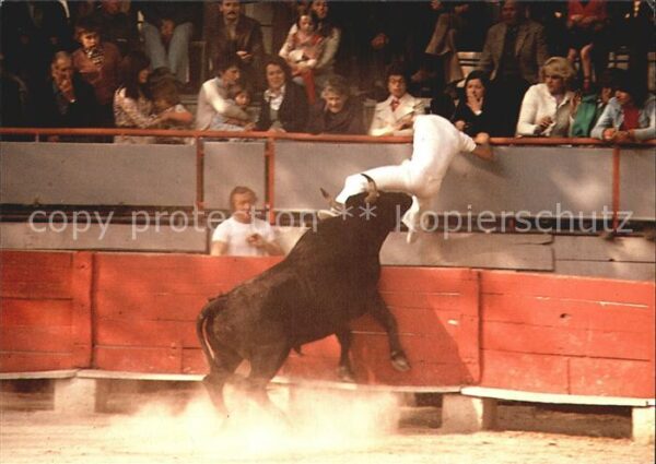 Stierkampf Camargue