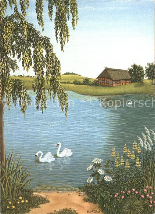 Schwan Schwan-Paar Künstlerkarte H. Müller