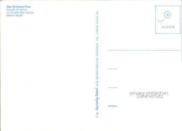 Schwan Schwan-Paar Künstlerkarte H. Müller – Bild 2