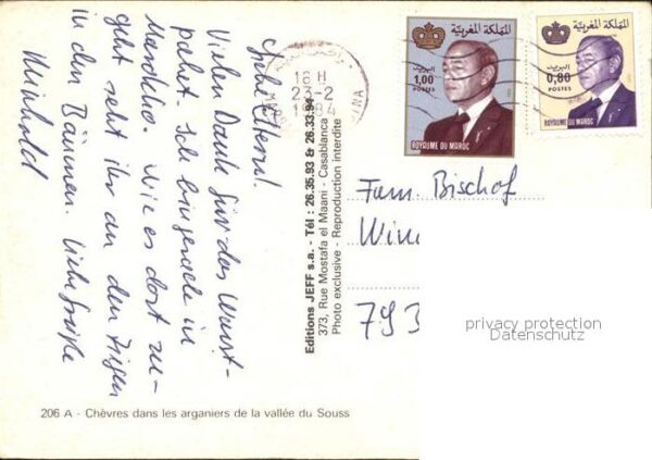 Ziege Arganiers Vallee Souss – Bild 2