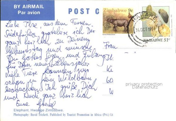 Elefant Hwange Zimbabwe – Bild 2