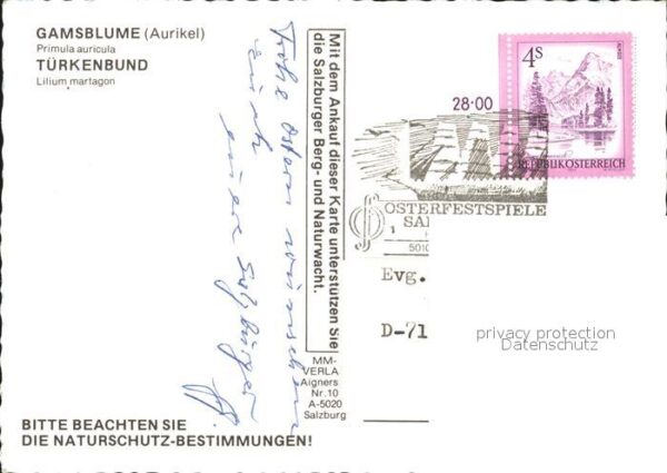 Blumen Gamsblume Aurikel Türkenbund – Bild 2