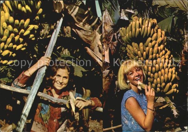 Bananen Islas Canarias